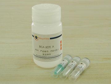 BCA蛋白浓度测定试剂盒